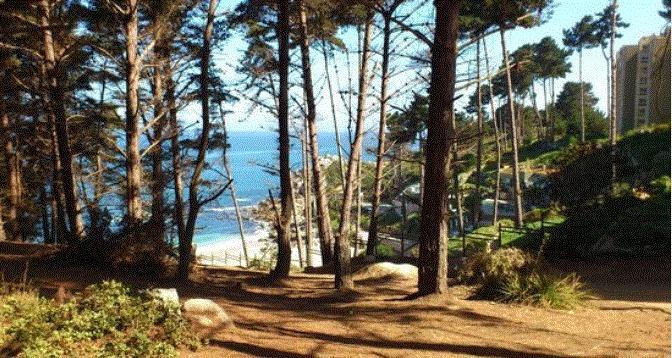 Departamento Algarrobo Condominio Laguna Εξωτερικό φωτογραφία